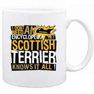     My Scottish Terrier Knows It All !!!  Mug Dog: Home & Kitchen