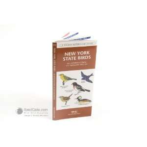  Pocket Guide   New York State Birds: Everything Else