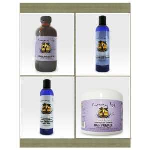  Jamaican Black Castor Oil Lavender Kit: Beauty