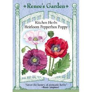  Poppy   Heirloom Pepperbox Seeds: Patio, Lawn & Garden