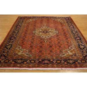   Red Persian Hand Knotted Wool Viss Rug Furniture & Decor