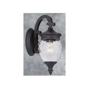    Outdoor Wall Sconces Forte Lighting 1763 01: Home Improvement