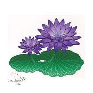  Water Lily Tropical Pur: Pet Supplies