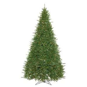   82 Virginia Fir Tree 1900 Clear Lights 5484 Tips