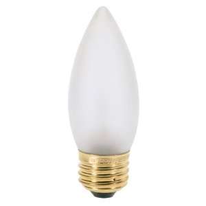  60 Watt Frosted Torpedo: Standard Base Light Bulb: Home 