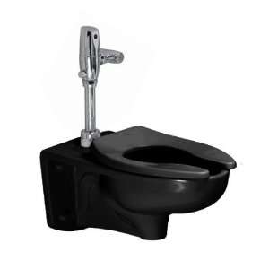   Wall Mount FloWise Flush Valve Toilet with Top Spud 3351.128.178