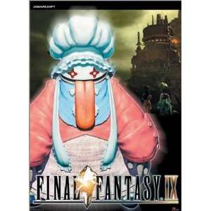 Final Fantasy IX   Quina, Video Games Wall Scroll, 31x43 