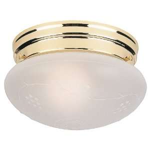  Sea Gull 5336 02 Ceiling Light