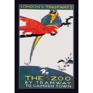  Vintage Art London Zoo The Macaw   01489 x