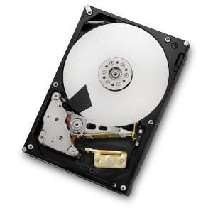   6Gbps 64MB Cache Enterprise Hard Drive with 24x7 Duty Cycle (0F14684
