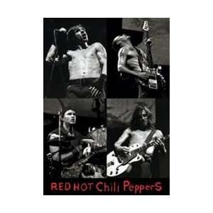  Music   Alternative Rock Posters: Red Hot Chili Peppers 