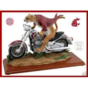  STATE COUGARS FOOTBALL BASKETBALL MOTORCYCLE NCAA Butch T. Cougar 