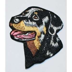    Rottweiler Head Dog Iron on Embroidered Patch m290 