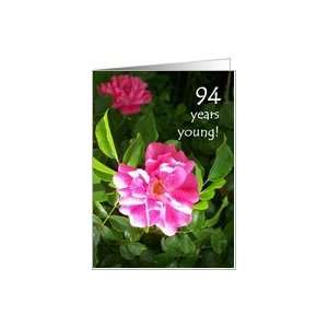  94th Birthday Card   Pink Roses Card Toys & Games
