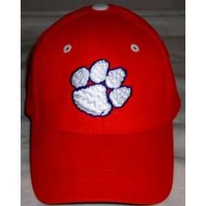 Clemson Tigers Youth Team Color One Fit Hat: Sports 