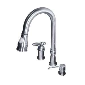  Acquaris 993 Kitchen Pull Down Spray Faucet (Brushed 