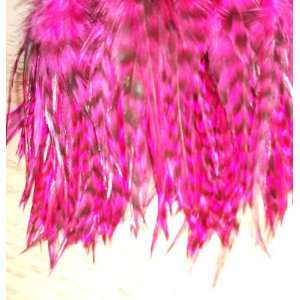  Pink Grizzly Feather Hair Extensions: Beauty
