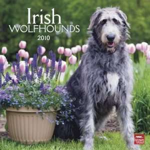  Irish Wolfhounds 2010 Wall Calendar