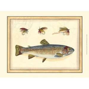  Printed Peters Bream   Poster (13x19)