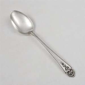  Queens Lace by International, Sterling Teaspoon: Home 