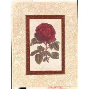  American Beauty Roses II Poster Print: Home & Kitchen