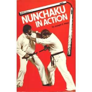  Nunchaku in Action Book 