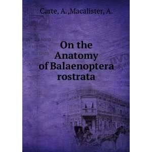   of Balaenoptera rostrata: A.,Macalister, A. Carte:  Books