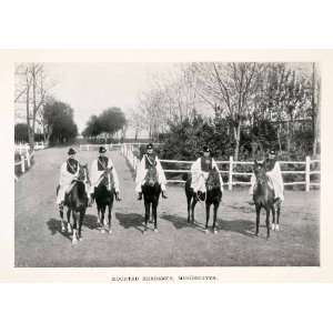  1907 Halftone Print Horse Mezohegyes Hungary Herdsmen Cowboys Breed 