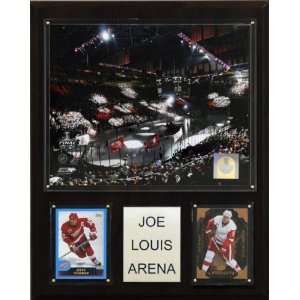 NHL Joe Louis Arena Plaque:  Sports & Outdoors