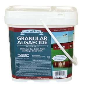 BioSafe Green Clean Algaecide 20 lb. Pail  Remove Algae  