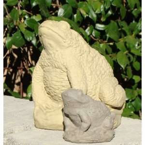    Designer Stone 7806 O Large Warty Toad Patio, Lawn & Garden