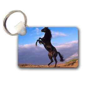  Wild Horse Keychain Key Chain Great Unique Gift Idea 