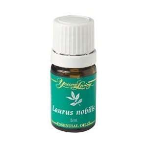 Laurus Nobilis Essential Oil   5 ml by Young Living Independent 