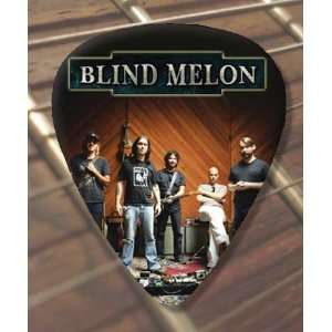  Blind Melon Premium Guitar Pick x 5 Medium: Musical 