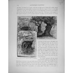  Palestine 1881 Caves Valley Hinnom Aceldama Trees