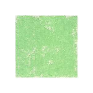  Holbein Academy Oil Pastel Pale Green Arts, Crafts 