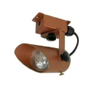   Mount Directional Light, Copper Finish with Clear Tempered Glass