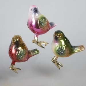  Club Pack of 12 Noble Gems Mouth Blown Glass Clip on Bird 