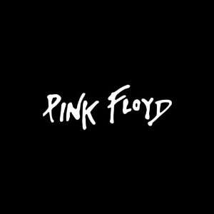  Pink Floyd vinyl window decal sticker: Office Products