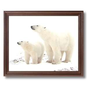  Polar Bear Mother And Cub Artic Animal Wildlife Picture 