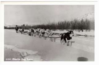 1940 50? SLED DOG TEAM, REAL PHOTO, ALASKA  