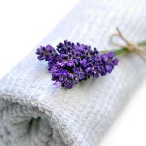  Vanilla Lavender soap fragrance oil pure uncut
