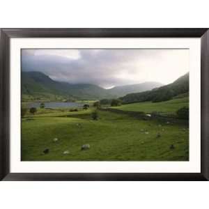  Scenic View of Englands Lake District with a Field of Grazing 