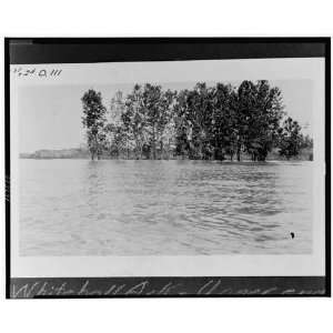    Whitehall, Lee County, Arkansas,AR,1927 Flood