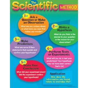  Chart The Scientific Method Gr 4 8