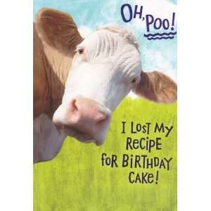  Greeting Card Birthday Oh, Poo!, I Lost My Recipe for 