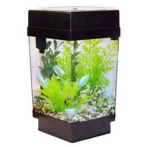  Eco   hex 5gal Hex Tank W/power Filtration And Pc Flo 