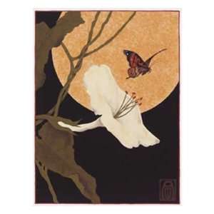  Moonflower and Moth by Anita Munman 12.00X16.00. Art 