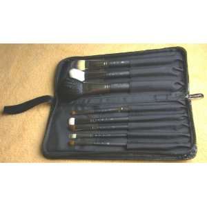  Professional 8 Piece Brush Set with case: Everything Else