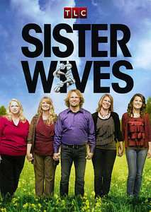 Sister Wives DVD, 2011  